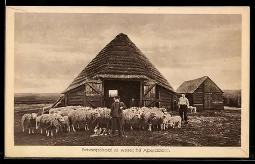 AK Assel bij Apeldoorn, Schaapskooi te Assel bij Apeldoorn
