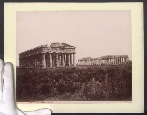 Fotografie G. Sommer, Napoli, Ansicht Pesto, Tempio di Nettuno, Grossformat 31 x 24cm