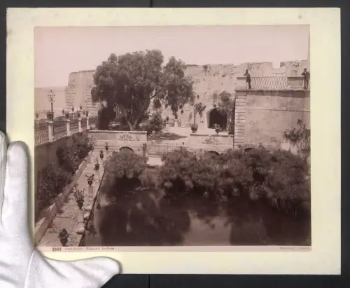 Fotografie G. Sommer, Napoli, Ansicht Siracusa, Fontana Aretusa, Grossformat 31 x 24cm