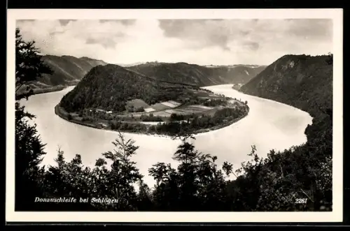 AK Haibach ob der Donau, Schlögen, Blick zur Donauschleife
