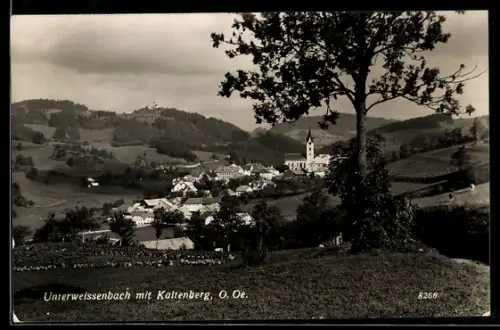 AK Unterweissenbach /O. Oe., Ortsansicht mit Kaltenberg