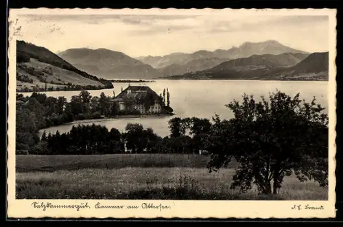 AK Kammer am Attersee, Schloss, Seeufer mit Gebirgspanorama