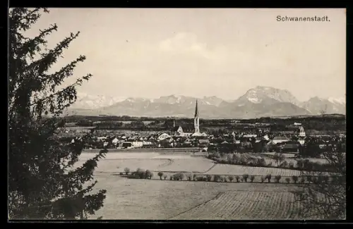 AK Schwanenstadt, Blick in den Ort