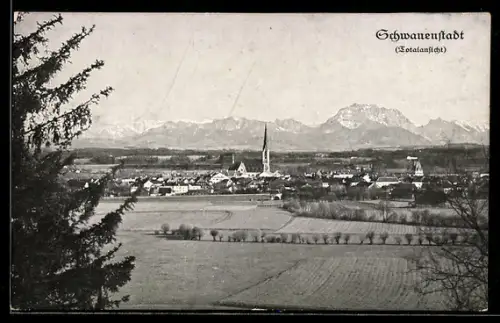AK Schwanenstadt, Totalansicht des Ortes