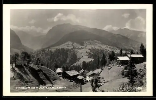 AK Birnbaum /Wolayertal, Ortsansicht im Tal