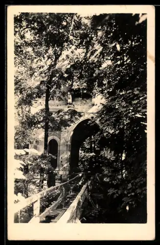 Foto-AK Eferding /O. Ö., Ruine, Holzsteg, Arkaden