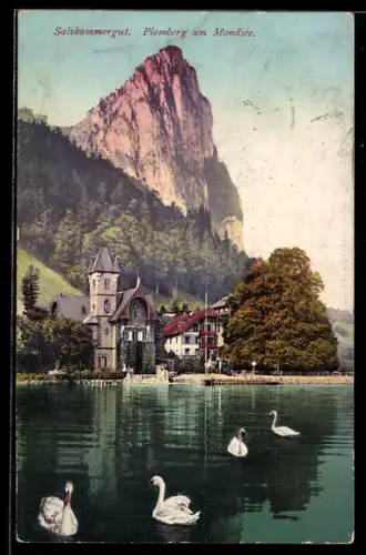 AK Plomberg am Mondsee, Seepanorama mit Ufergebäuden, Bergen und Schwänen