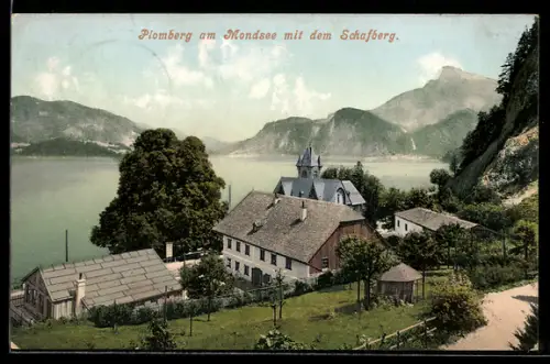 AK Plomberg am Mondsee, Ortsansicht mit Blick zum Schafberg