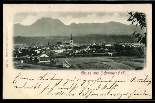 AK Schwanenstadt, Teilansicht mit Kirche