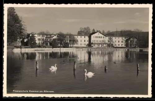 AK Kammer am Attersee, Finanzschule mit Schwänen