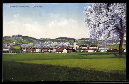 AK Prambachkirchen /Ob. Öst., Ortspanorama mit Kirche
