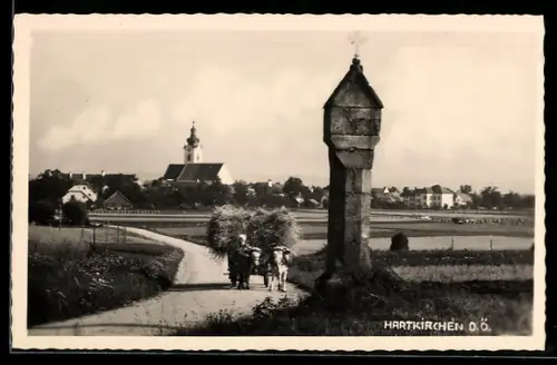 AK Hartkirchen /O.Ö., Feldweg mit Heuwagen, Bildstock und Ortspanorama