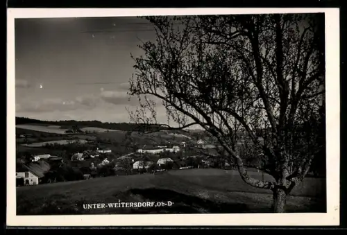 AK Unter-Weitersdorf /Ob.-D., Panorama mit Dorf und Baum