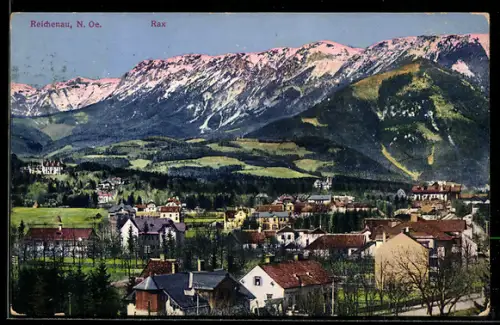 AK Reichenau, Teilansicht mit Bergpanorama, Rax