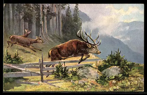 Künstler-AK M.Müller jun.: Hisch und Rehe springen über Zaun