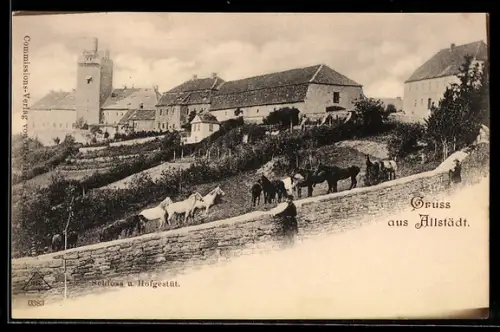 AK Allstedt, Schloss und Hofgestüt