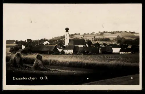AK Enzenkirchen / Oberösterreich, Gesamtansicht