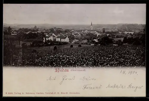 AK Riedau /Oberösterreich, Panoramaansicht des Ortes