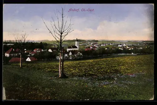 AK Andorf /Ob. Öst., Panorama mit Kirche