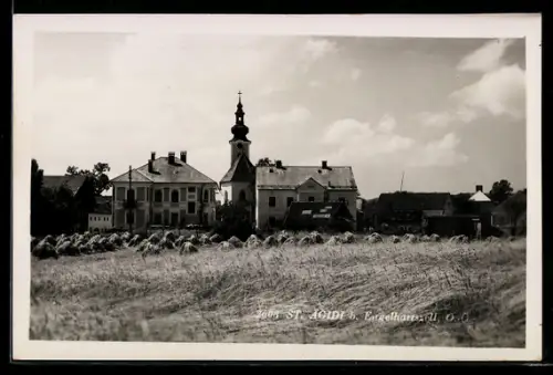 AK St. Aegidi b. Engelhartszell, Blick zur Kirche