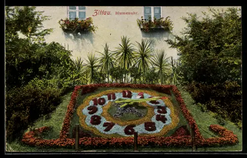 AK Zittau, Blumenuhr mit Blumenkästen