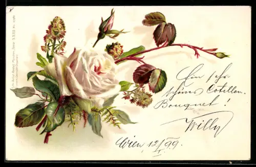 AK Weisse Edelrose mit Knospen