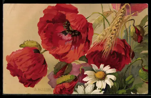 Künstler-AK Anna Haller: Mohn und Margriten