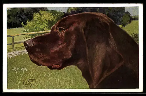 Künstler-AK Kopf eines Jagdhundes
