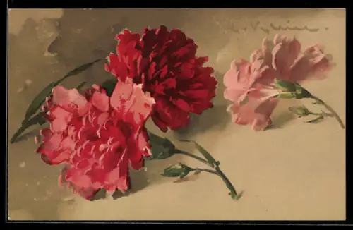 Künstler-AK Catharina Klein: Nelken in rot & rosa