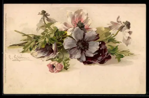 Künstler-AK Catharina Klein: Weisser und violetter Mohn