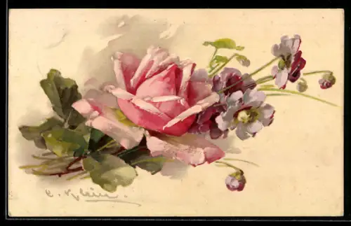 Künstler-AK Catharina Klein: Rose und lila Blüten auf cremefarbenem Hintergrund