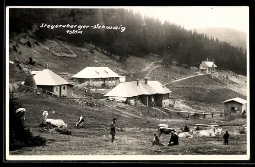 AK Kirchberg am Wechsel, Steiersberger Schwaig, Panoramaansicht der Berghütte