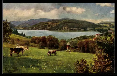 Künstler-AK Heinrich Hoffmann: Feldberg, Panorama vom Titisee
