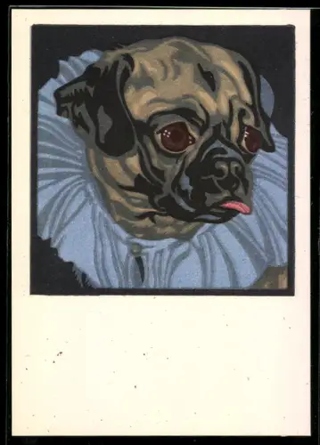 Künstler-AK sign. N. von Bresslern-Roth: Hund mit blauem Kragen