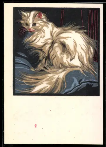 Künstler-AK Norbertine Bresslern-Roth: Katze mit weissem Fell