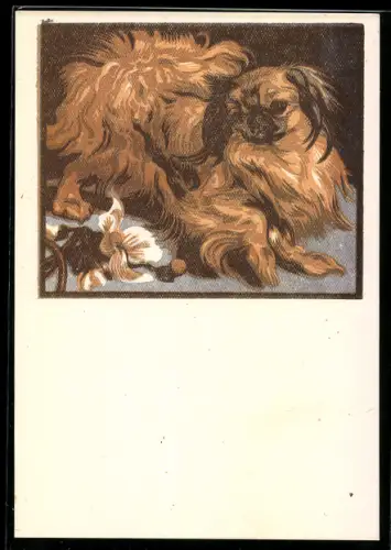 Künstler-AK Norbertine Bresslern-Roth: Pekinese mit Blume