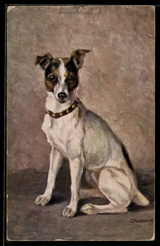 AK Ein Terrier mit schönem Halsband