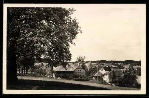 AK Bach bei Schwanenstadt, Ortspartie mit Gehöften und Kirche