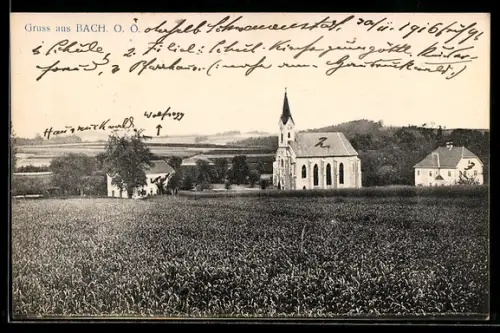 AK Bach /O. Ö., Panorama mit Kirche und Feldern