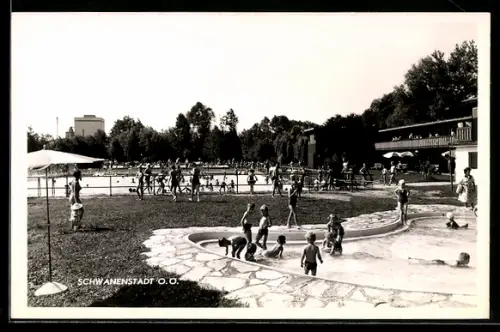 AK Schwanenstadt /O. Ö., Freibad mit Kinderbecken und Liegewiese