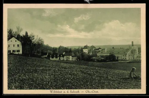AK St. Pantaleon /Ob.-Oest., Wildshut a. d. Salzach, Panorama mit Kirche