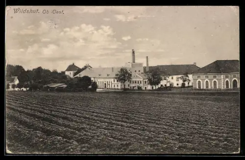 AK St. Pantaleon /Ob.-Oest., Wildshut, Brauerei mit Schornsteinen