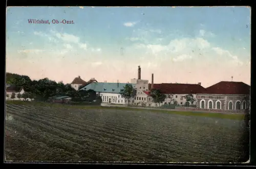AK St. Pantaleon /Ob.-Oest., Wildshut, Brauerei und Wirtschaftsgebäude