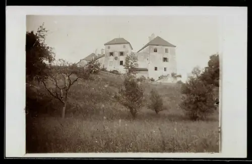 Foto-AK St. Pantaleon /Ob.-Oest., Wildshut, Schloss, Hang mit Obstbäumen