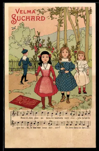 AK Velma Suchard, Kakao, Drei Mädchen mit Zweigen