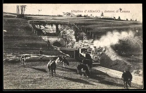 AK Asiago, Altiplano d`Asiago, dintorni de Cesuna