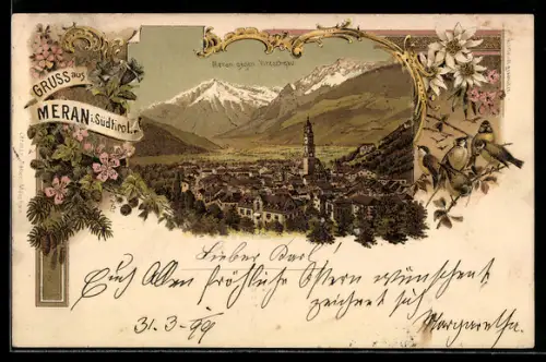 Lithographie Meran /Südtirol, Panorama gegen Vintschgau, Meisen auf einem Zweig