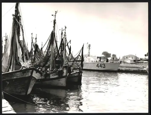 Fotografie Dr. Grebert, Ansicht Ravenna - Emilia-Romagna / Italien, Fischerboote & Patrouillenboot im Hafen