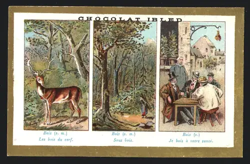Sammelbild Chocolat Ibled, Les bois du cerf, sous bois