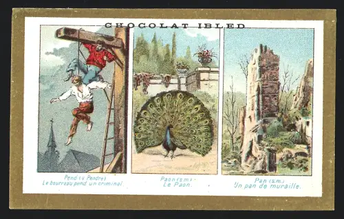 Sammelbild Chocolat Ibled, Le Paon, Le bourreau pend un criminel